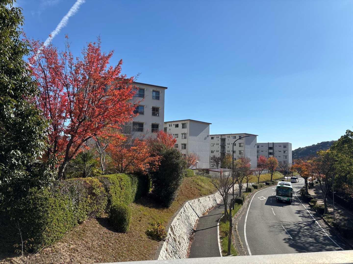 住宅地を通って