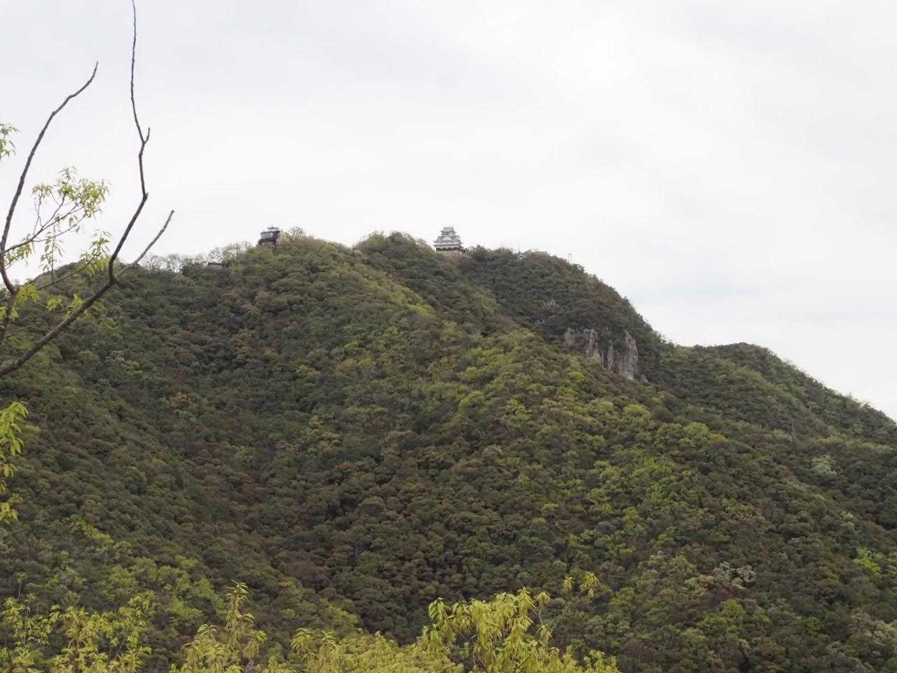 金華山で体力維持山歩き / おにめさの登山データ | YAMAP / ヤマップ