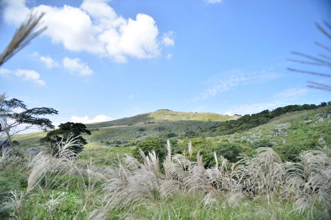 油断してたら、自分の指が写り込むくらいの広角。
ただ、慣れてない広角なだけに、ピントの山がつかみにくい😅