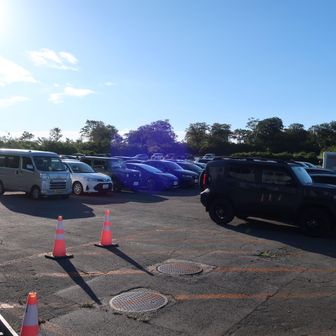 朝７時の駐車場はまだまだガラガラ。県外ナンバーが約半分程度でした。