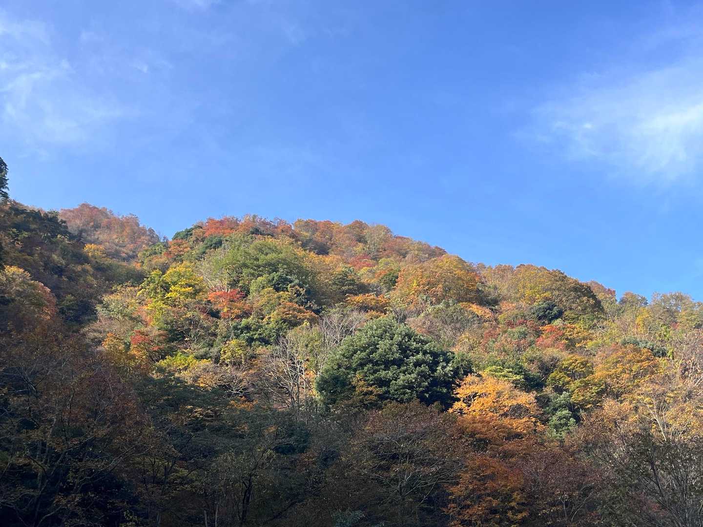 お日様が当たってきました