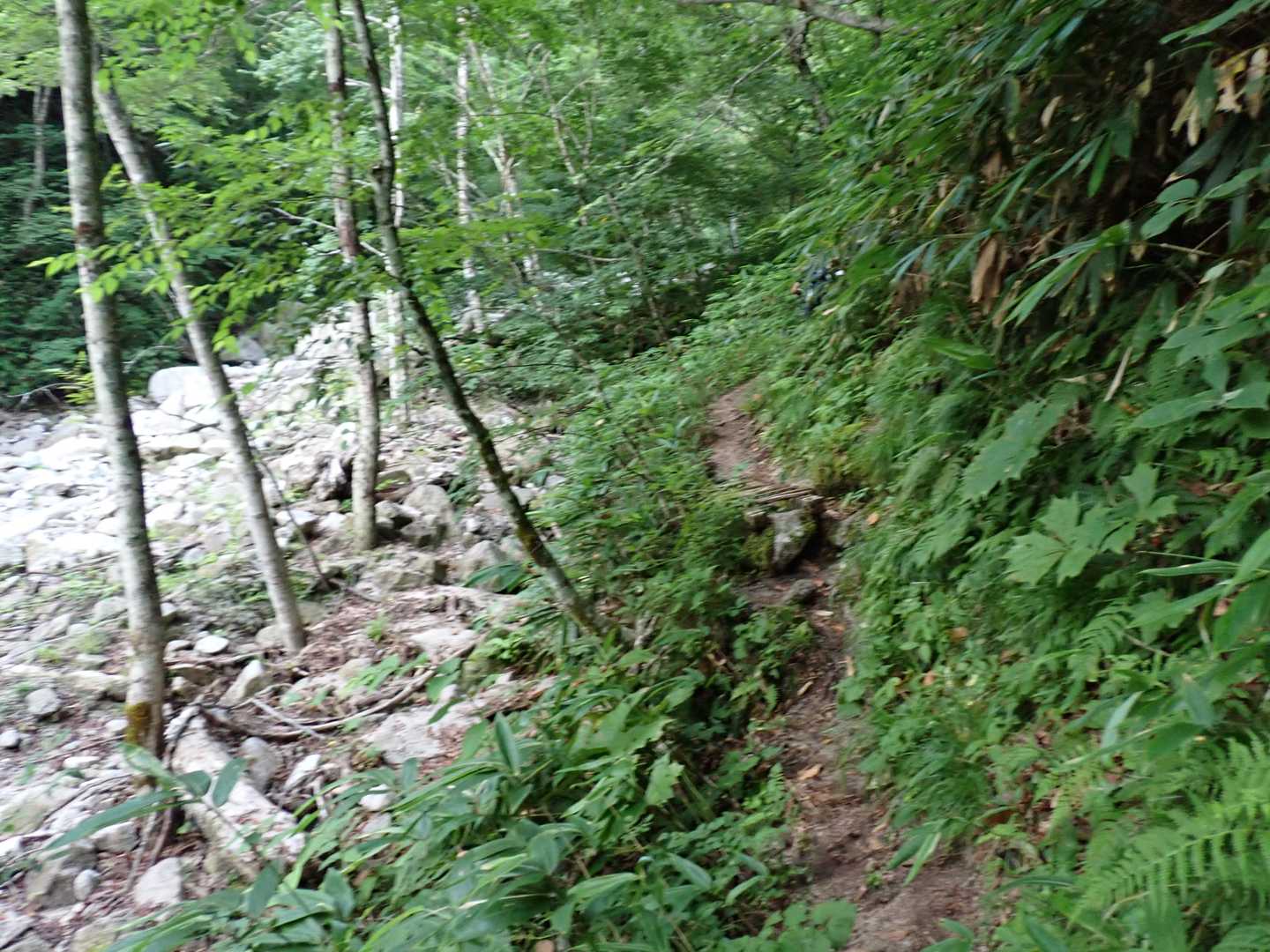 餓鬼が潜むコケ道。