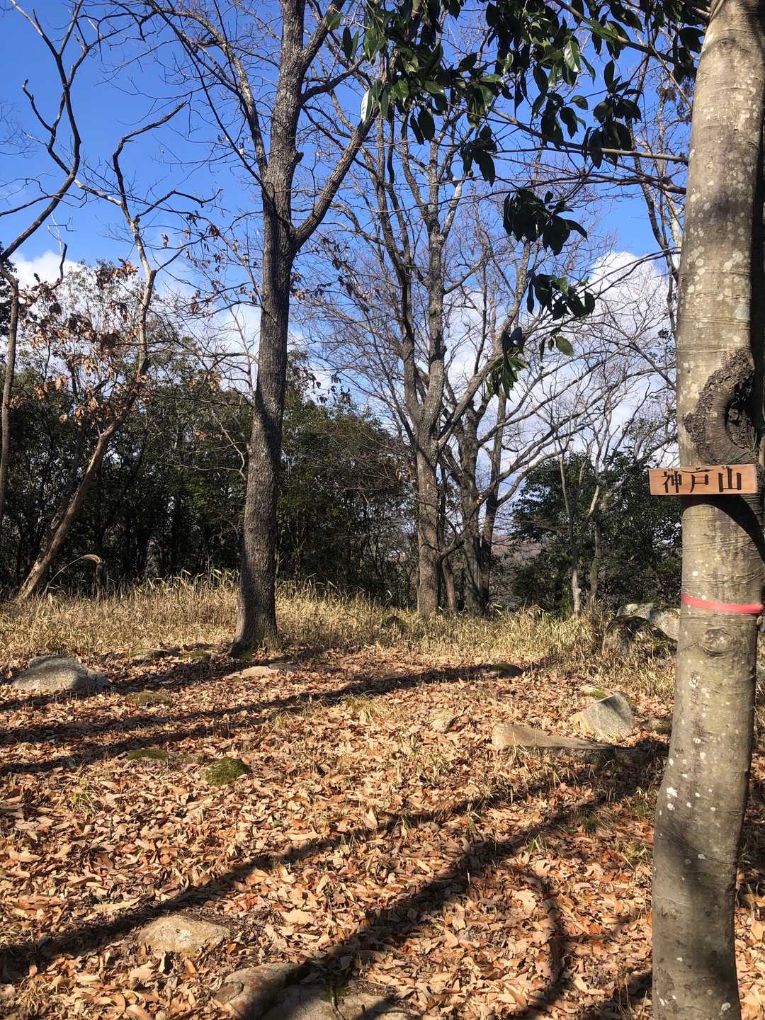 神戸山⛰到着😁