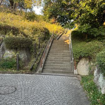 オシャレなお店を見ながら西郷山入口に到達