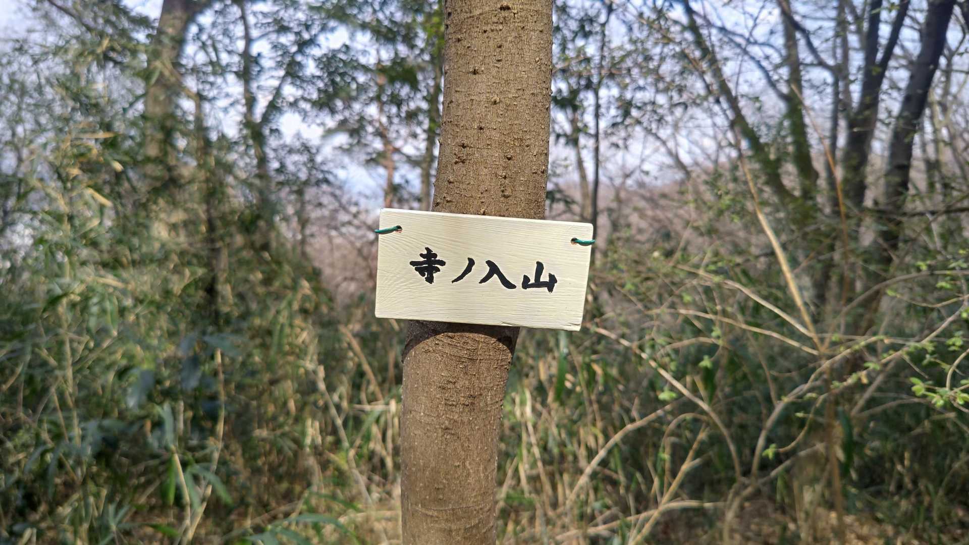 荒神山-茶臼山 往復コースの写真