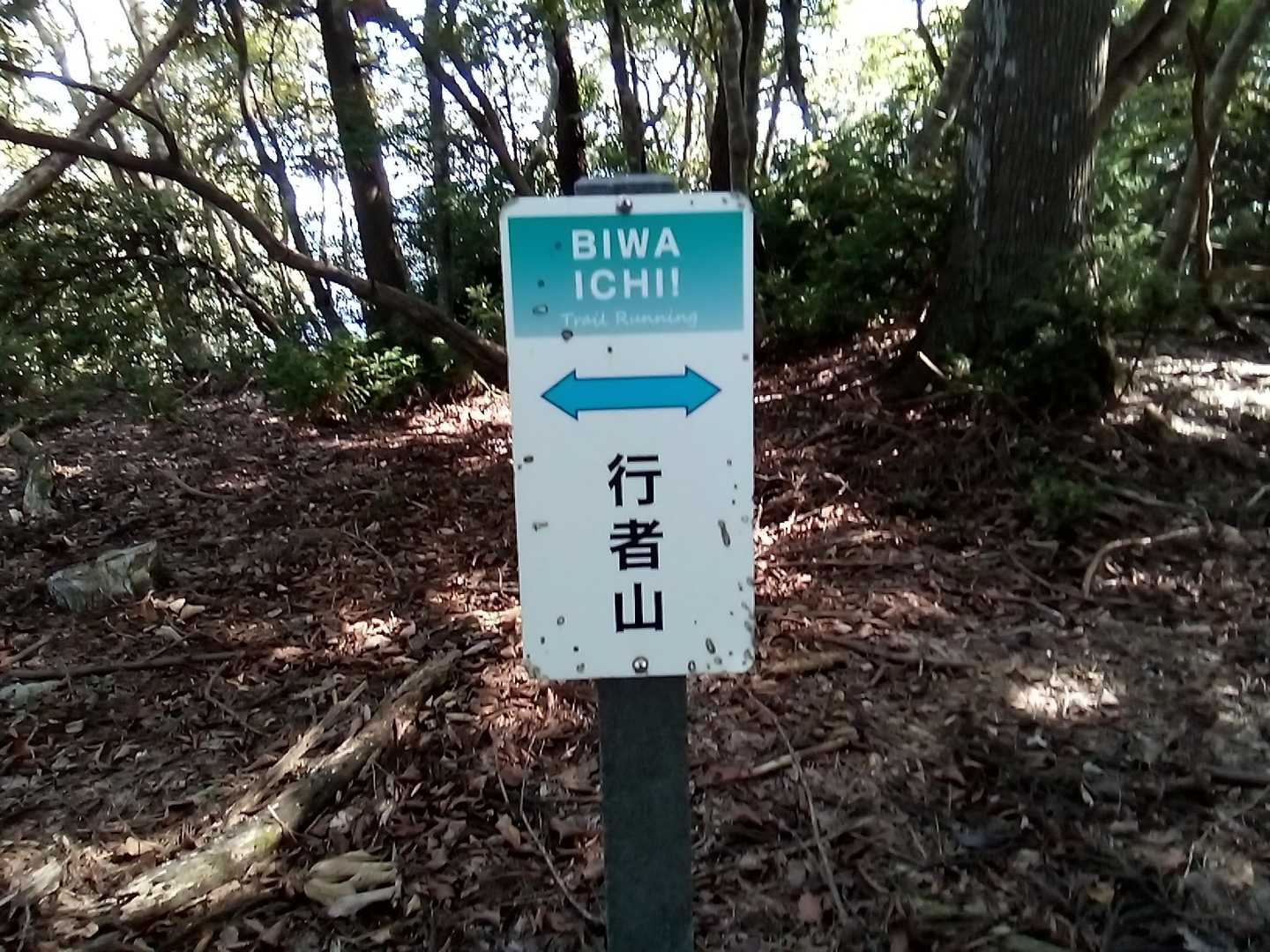 行者山山頂。
この辺は落ち葉で道がかすか。
注意して進む。