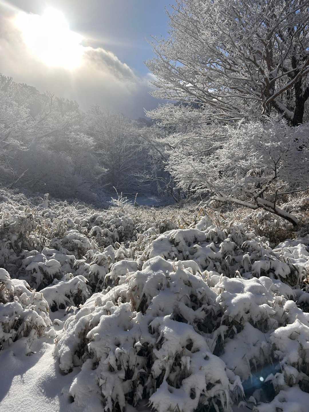 うつろぎ山・青笹山 / shinさんの青笹山の活動データ | YAMAP / ヤマップ