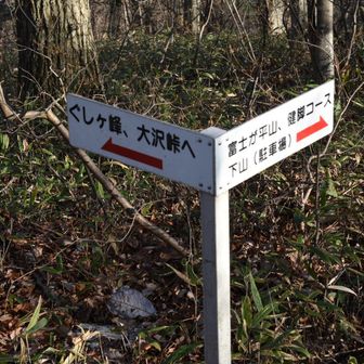 富士が平山？赤沢富士？に向かいます。