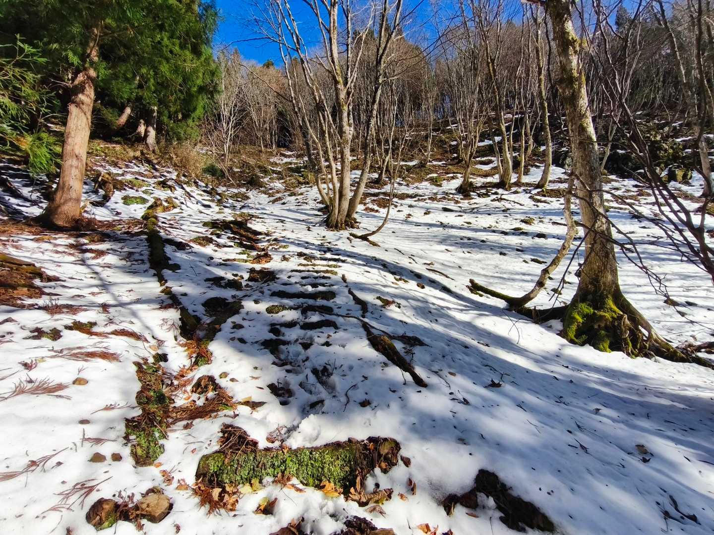 ここが一番キツい。
積雪が多いときは上りも下りも苦労する。