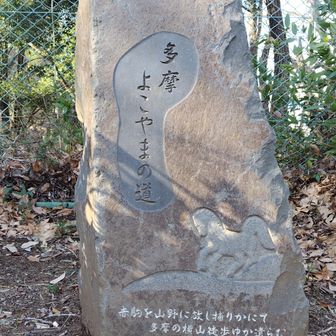 万葉集の詩/
赤駒を山野にはがし捕りかにて多摩の横山徒歩ゆか遣らむ
