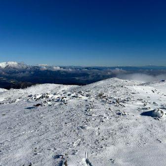 なんて良い日なんだろう
