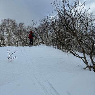桜山とうちゃく！
