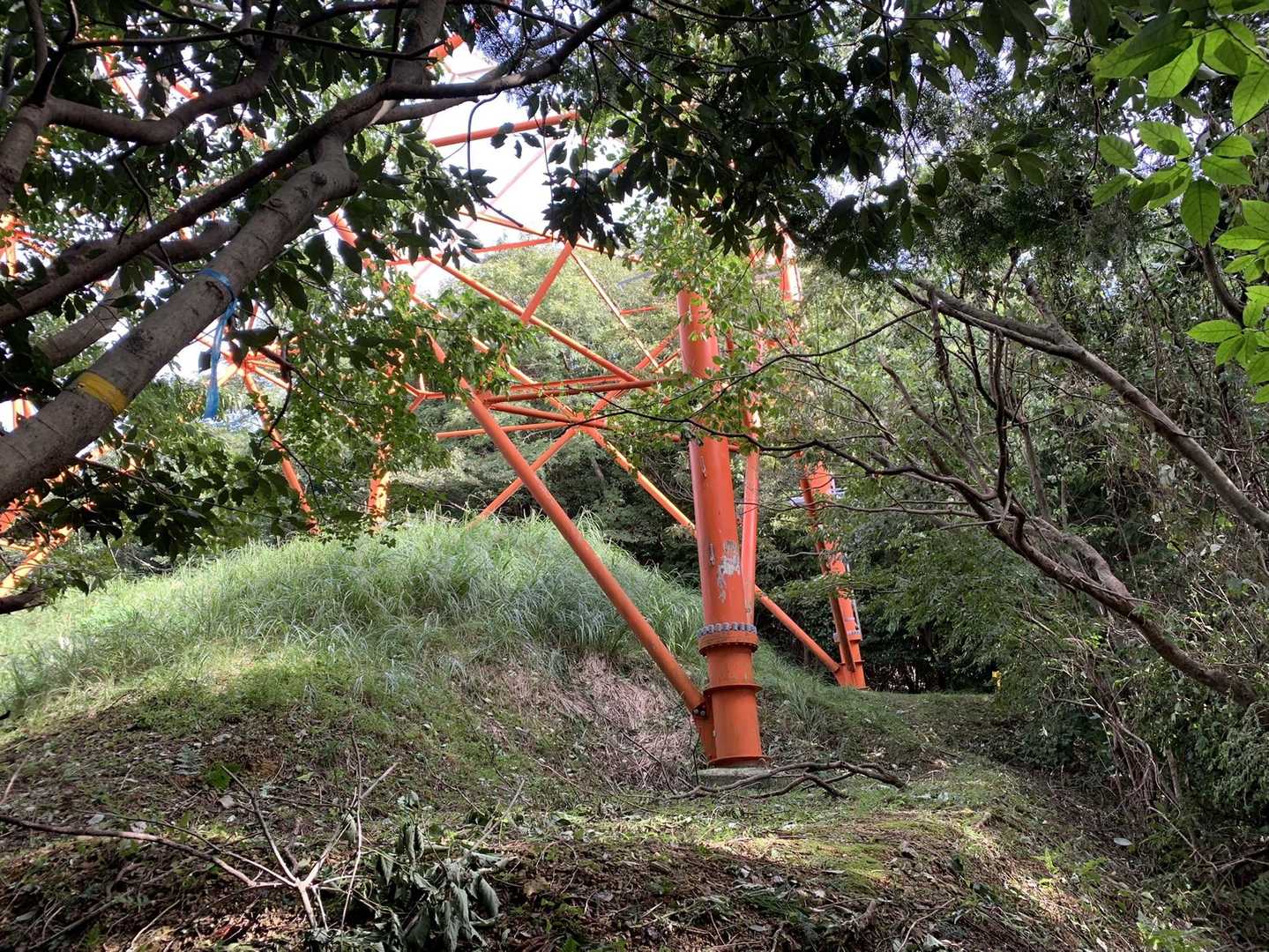 新城-茶臼山 往復コースの写真