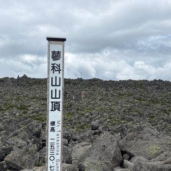 山頂に到着
