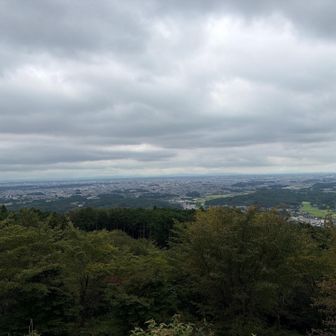 宇都宮市ないが見渡せました