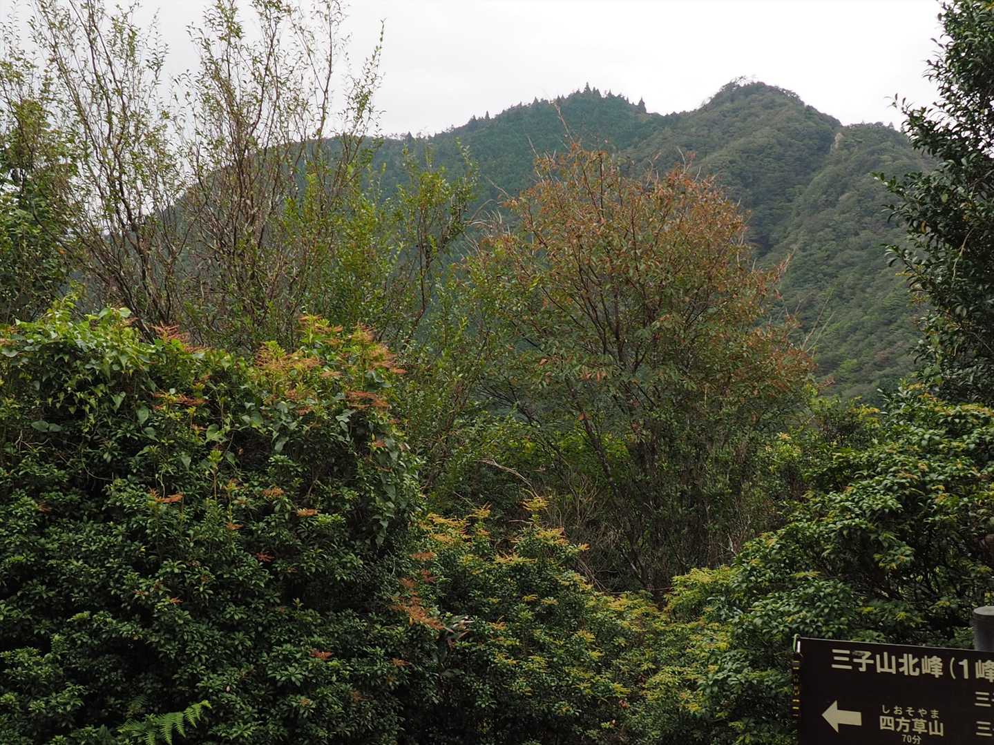 唯一の眺望。先は四方草山とみられる。