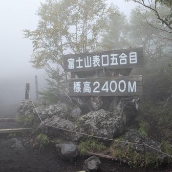 既に標高2400m. 車が頑張ってくれた(笑)