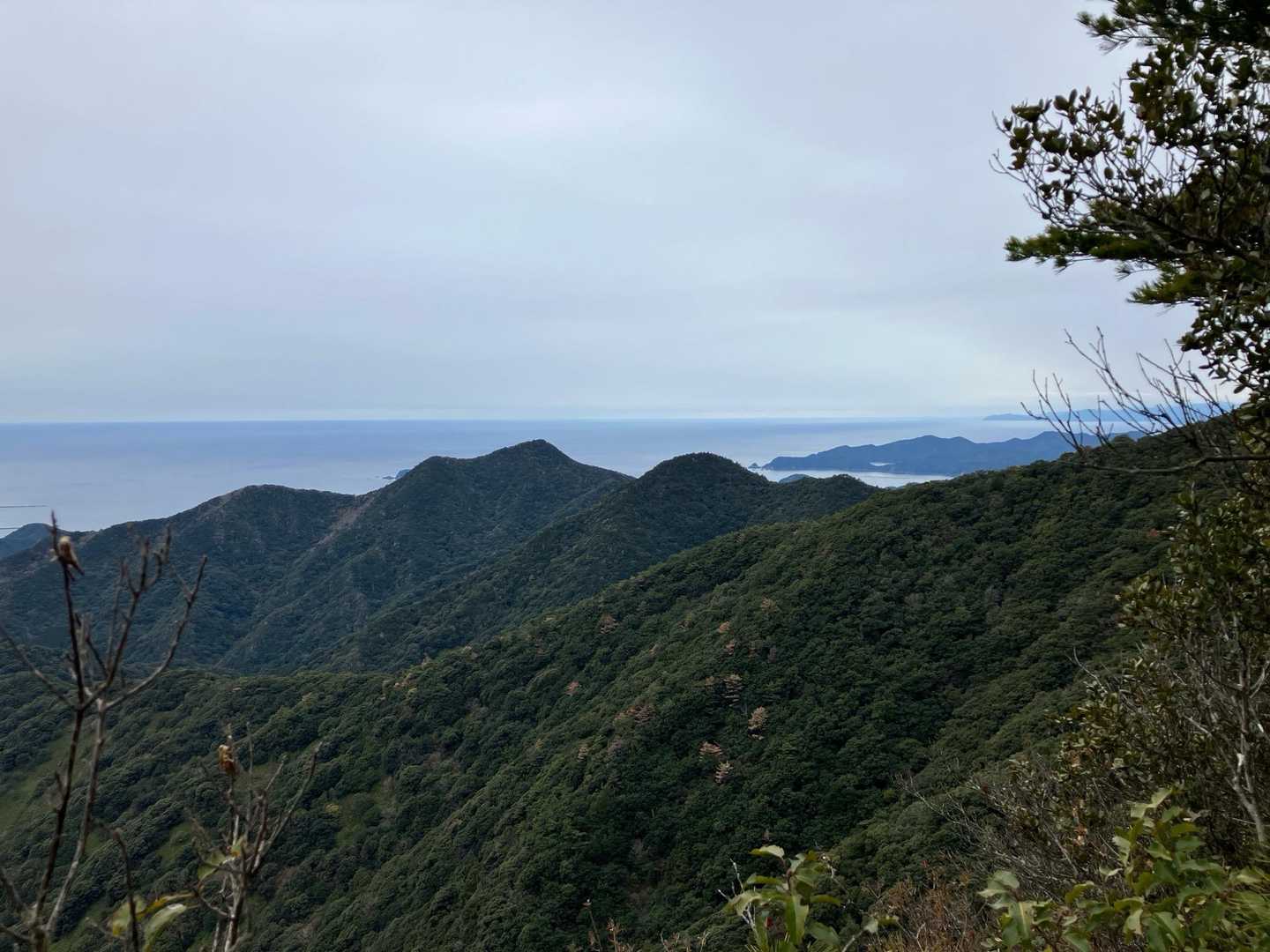 道方山登り口-道方山東峰-道方山 往復コースの写真