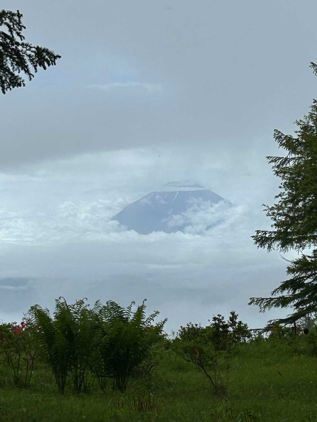 見えないと思っていた富士山🗻ですから、この様な姿でも満足😁です。見えて良かった😘