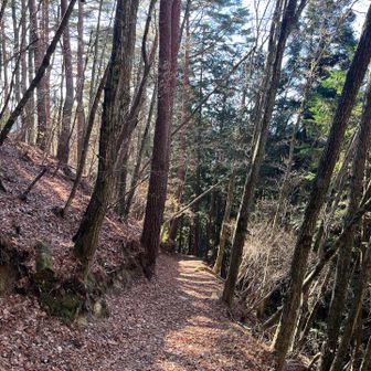 人が少ないけど
山登り始めたばかりの方でも
道は歩きやすいと思います