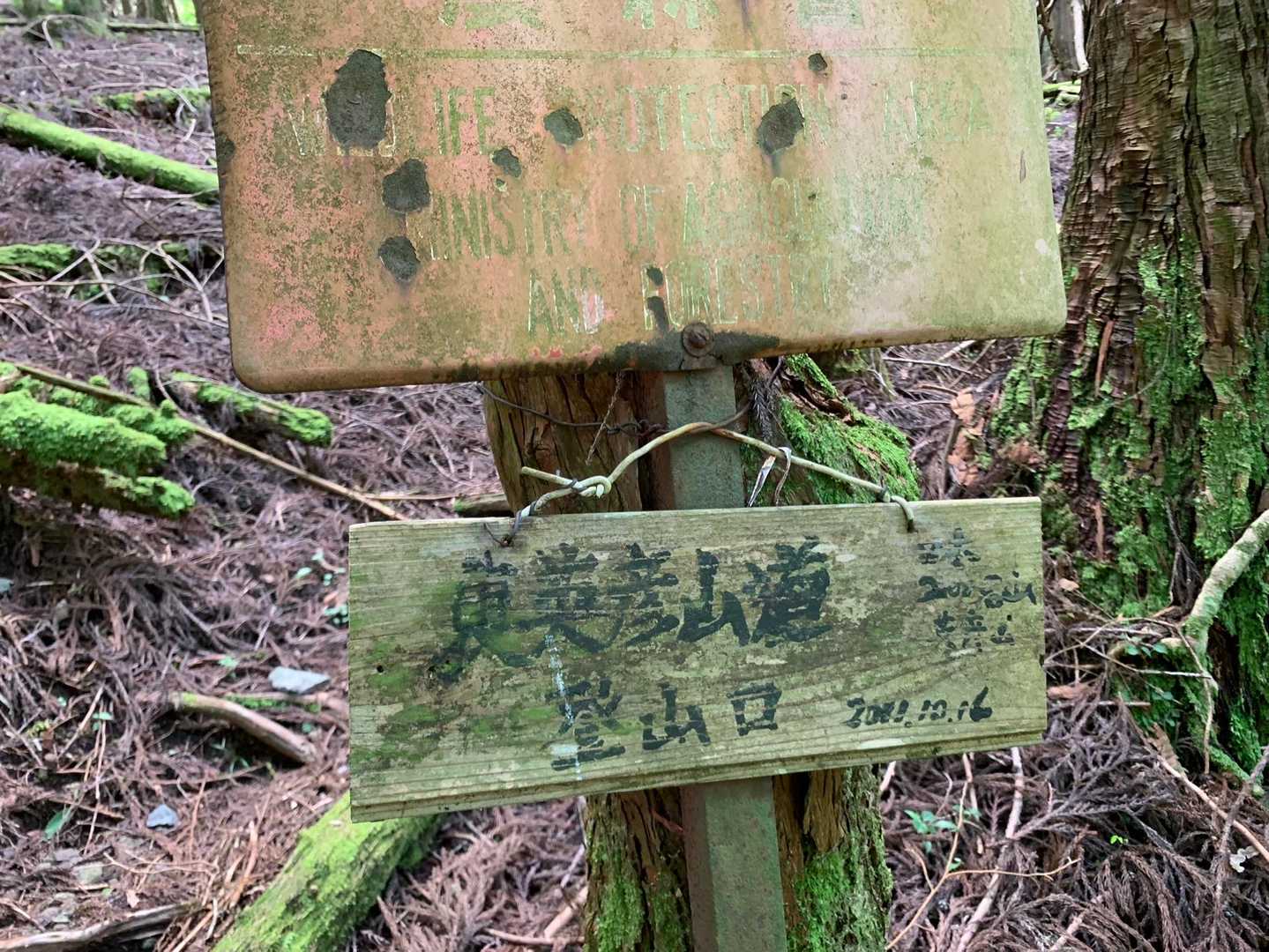 豊前坊登山口-英彦山-裏英彦山道登山口-薬師峠-鷹巣山登山 周回コースの写真