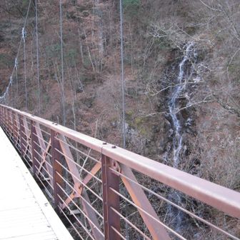 滝も綺麗ですが、滝の両側にできた様々な氷も見事です。
この滝の先、登山道に登ることもできるようですが、現在は通行止ですね。