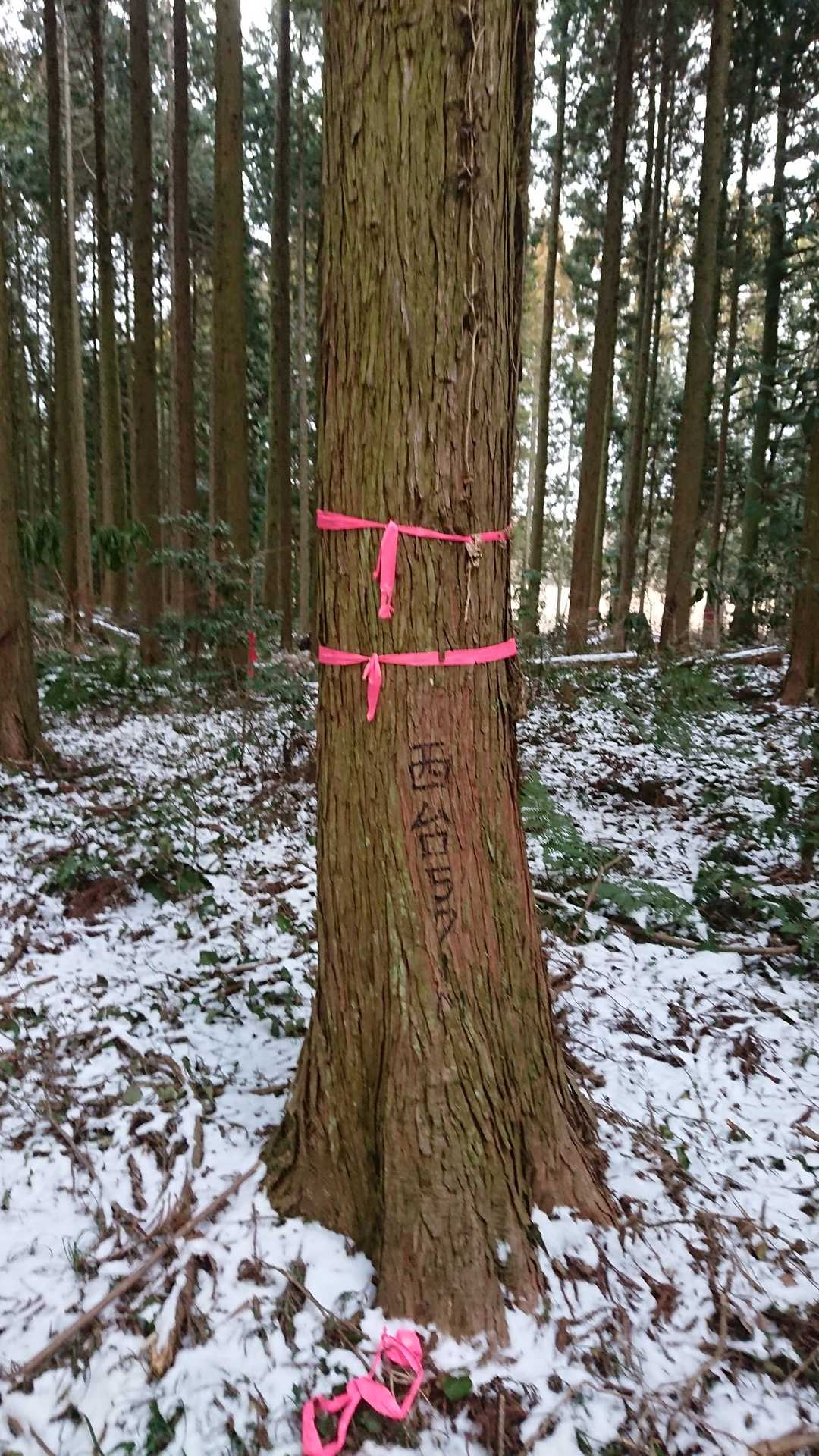 頂上