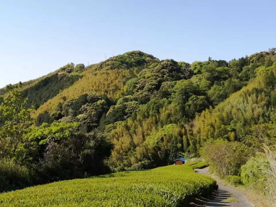 潮山の写真