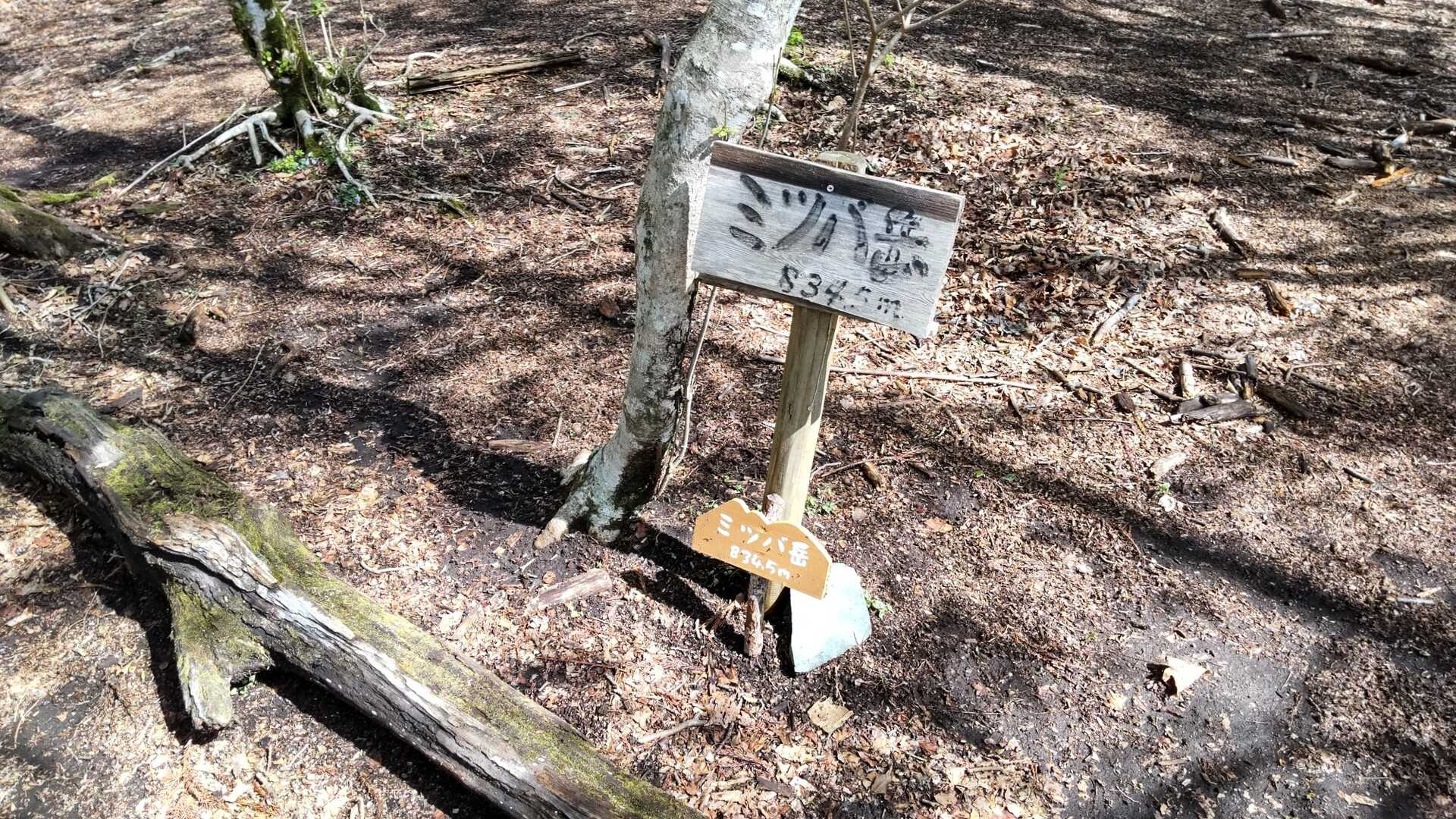 大出山（ミツバ岳）の写真