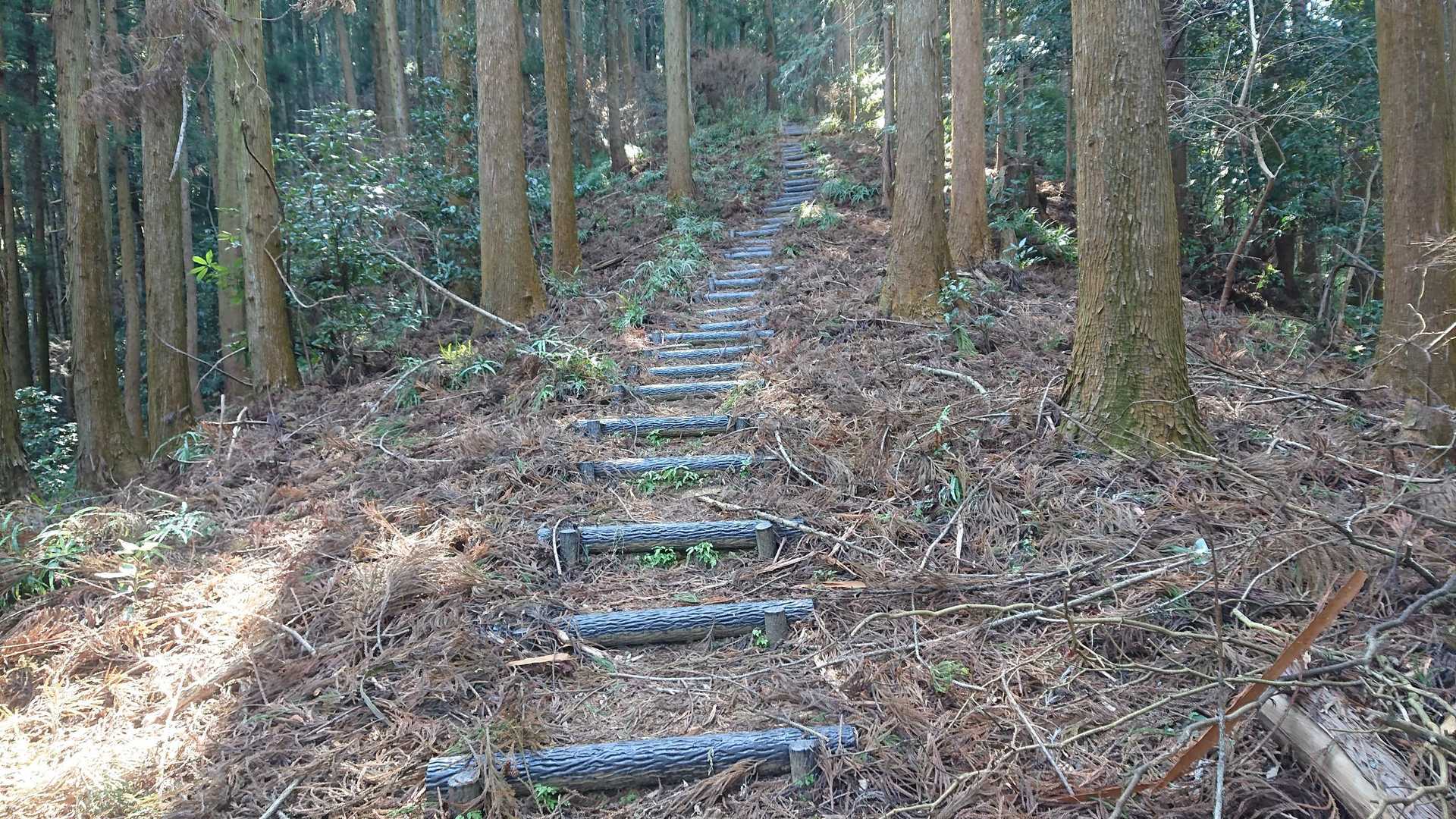 登山道は基本階段