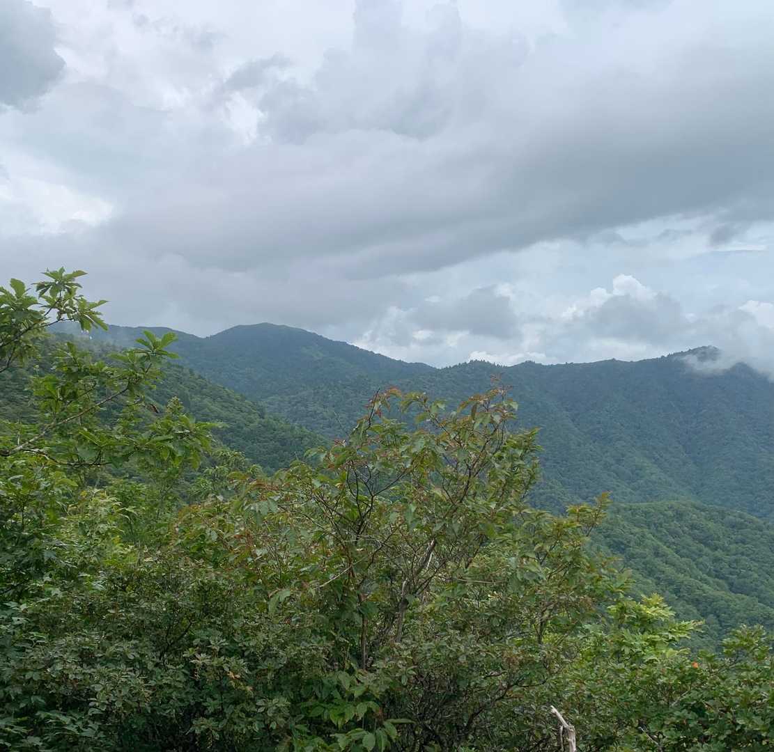 あ、雲が晴れた
武奈ヶ岳から釣瓶山の、美しい釣尾根