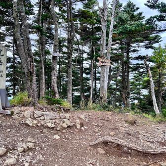 光岳山頂到着。2591m 
日本百名山49座目、信州百名山95座目。