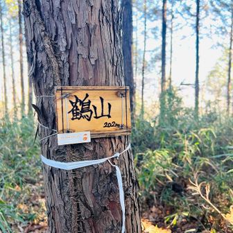 鶴山到着⛰️✨

眺望ありません🌲