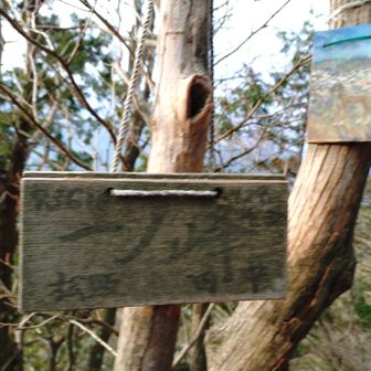 あっという間に一ノ峰に到着しました