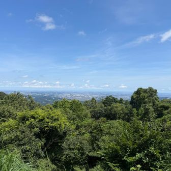 今日は快晴です