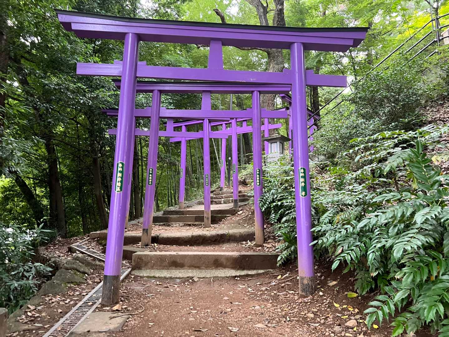 織姫神社登山口-鏡山 往復コースの写真