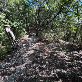 右、うぬまの森への下山道