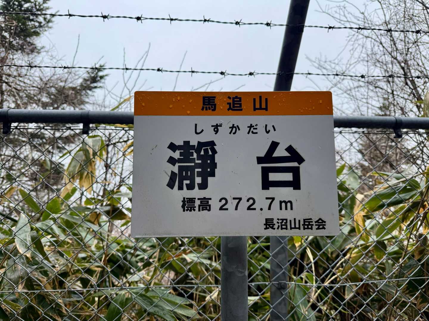 登頂🙌