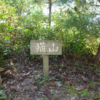 猫山
なぜ猫なんだろう？