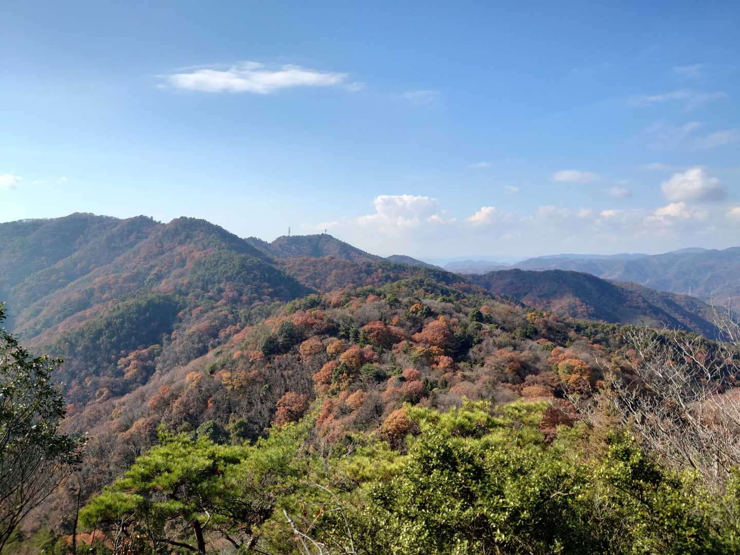 鉢ヶ峰 往復コースの写真