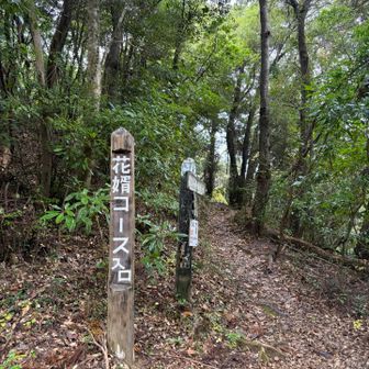 花婿コース入口に到着