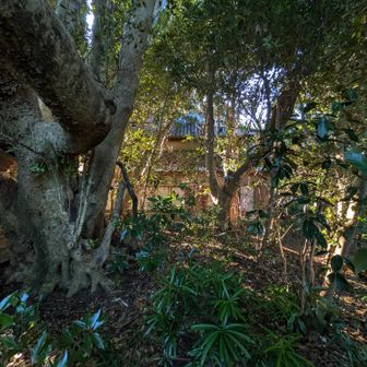 奥には廃屋あり。
なんか気持ち悪い。
