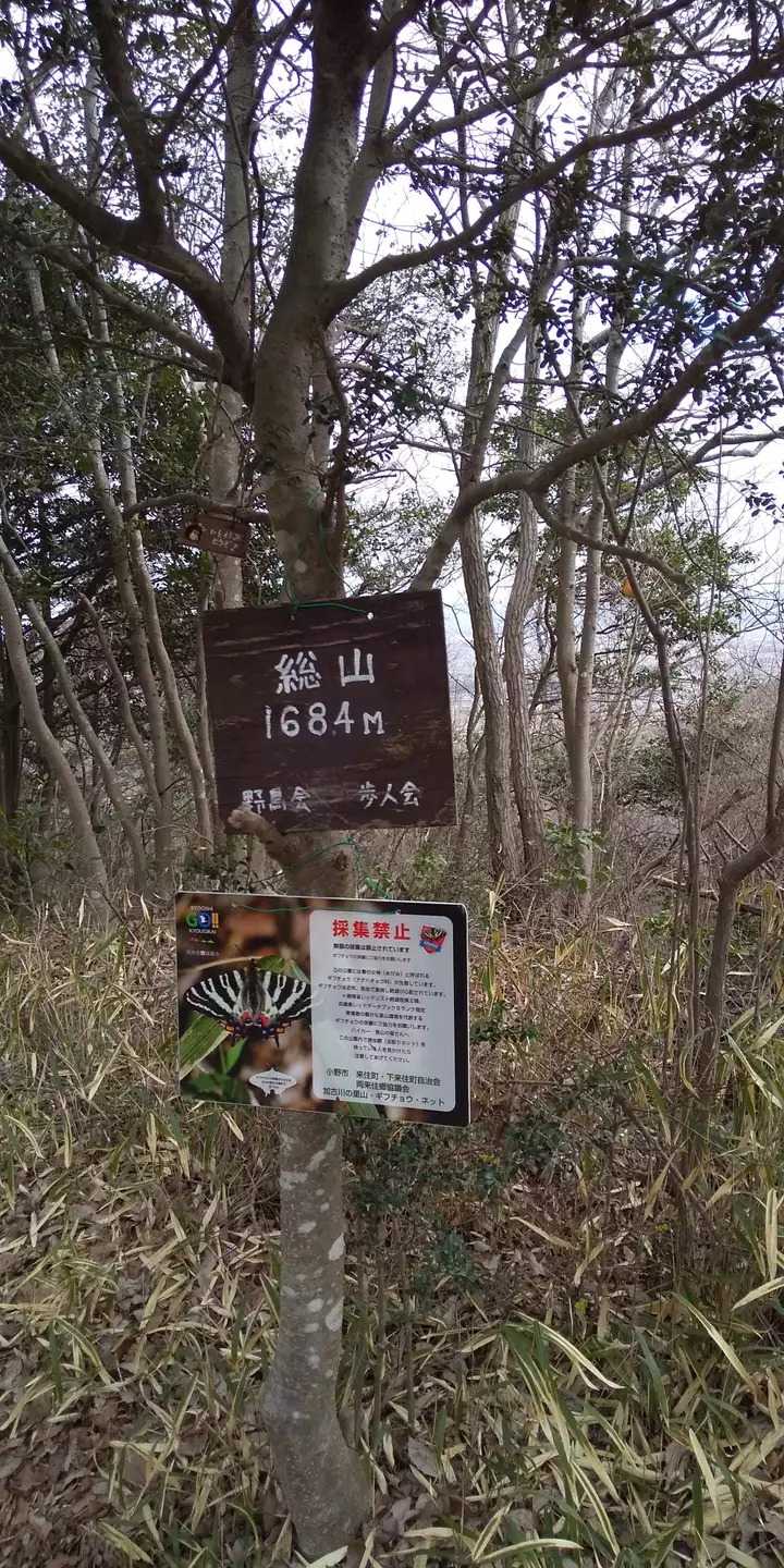総山の写真