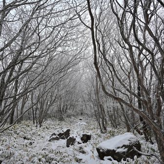 モノクロームの世界