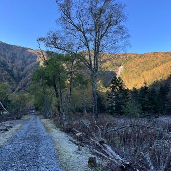 登山口付近。陽が照っていないのでまだ寒いデス🥶