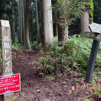 すぐ近くの道路沿いから直ぐに登山道へ

初っ端から、ちょい急登