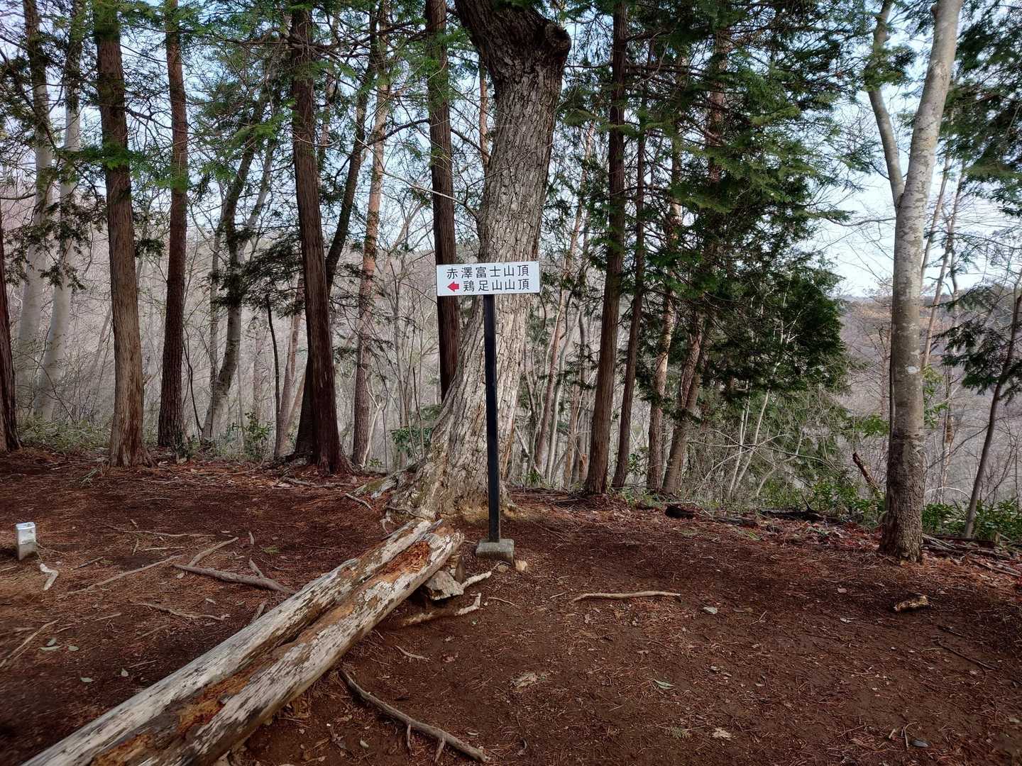 赤沢富士-鶏足山-焼森山 周回コースの写真