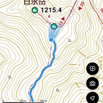 この辺りで踏み跡途絶える…東峰まであとちょっとやん。
