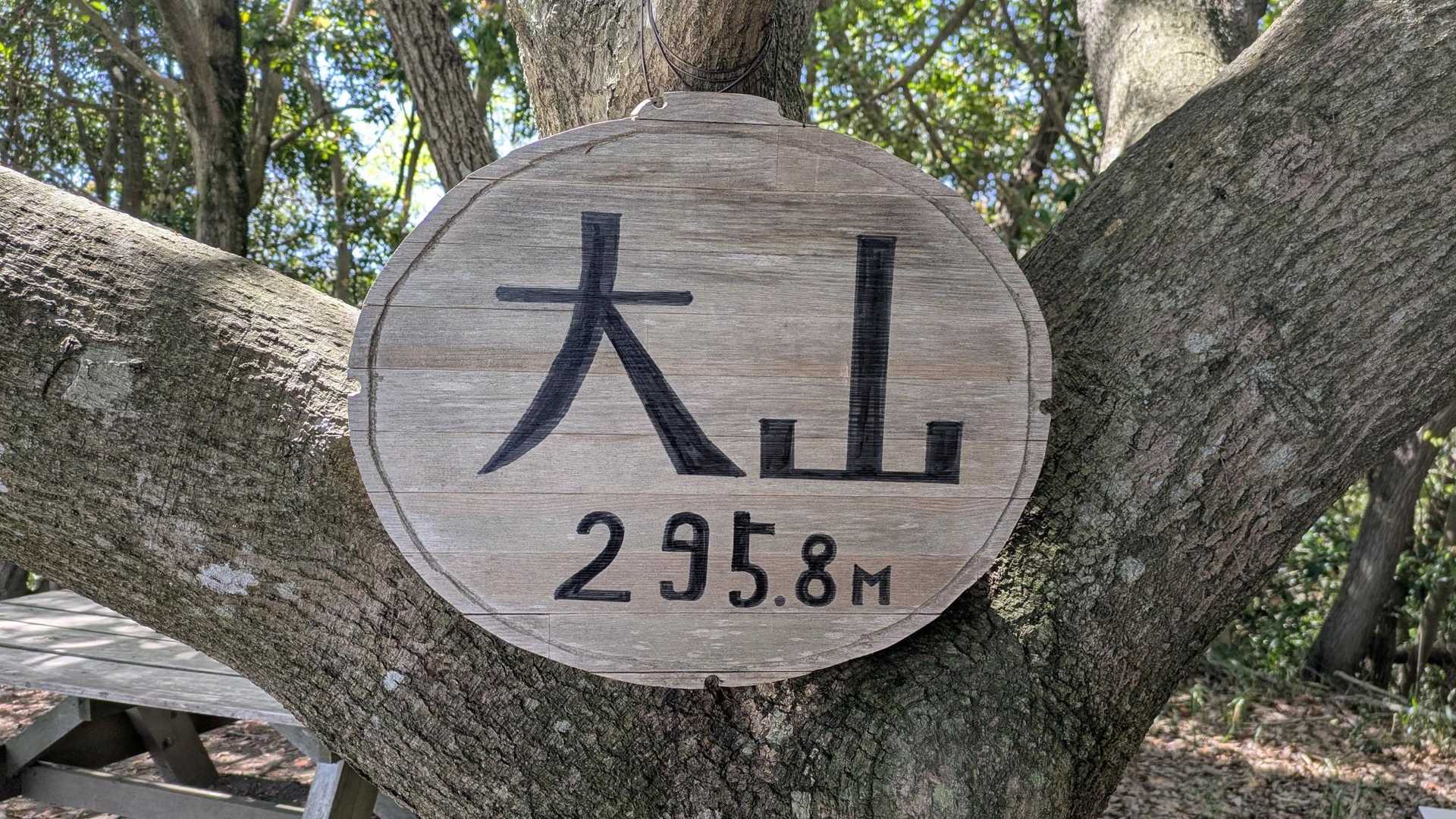 大山山頂▲