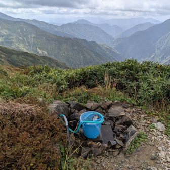 小屋の目の前にある水場　量豊富